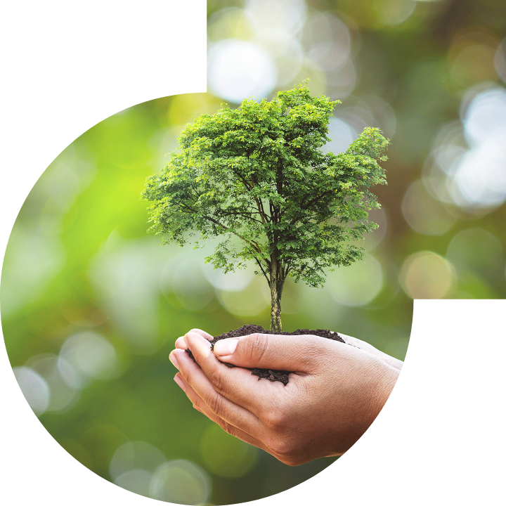 关怀人类、文化、环境与社会